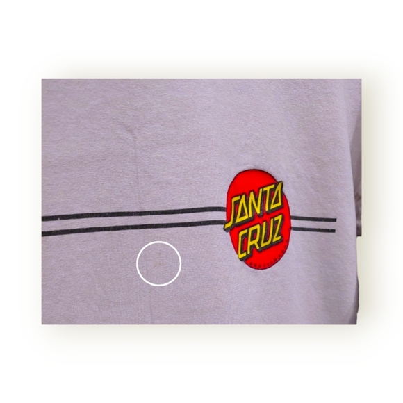 OG Vintage Gray Santa Cruz Skateboards Tee - Picture 6 of 7